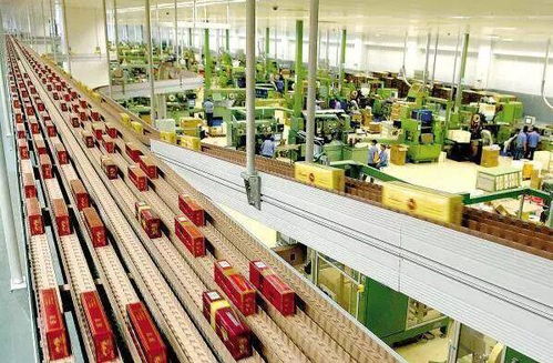 高考倒計時50天，揭秘那些冷門但潛力無限的“技術+服務”專業